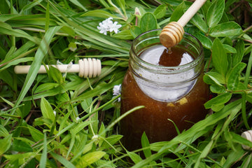 The Sweet Benefits of Raw Honey: Why You Should Make the Switch