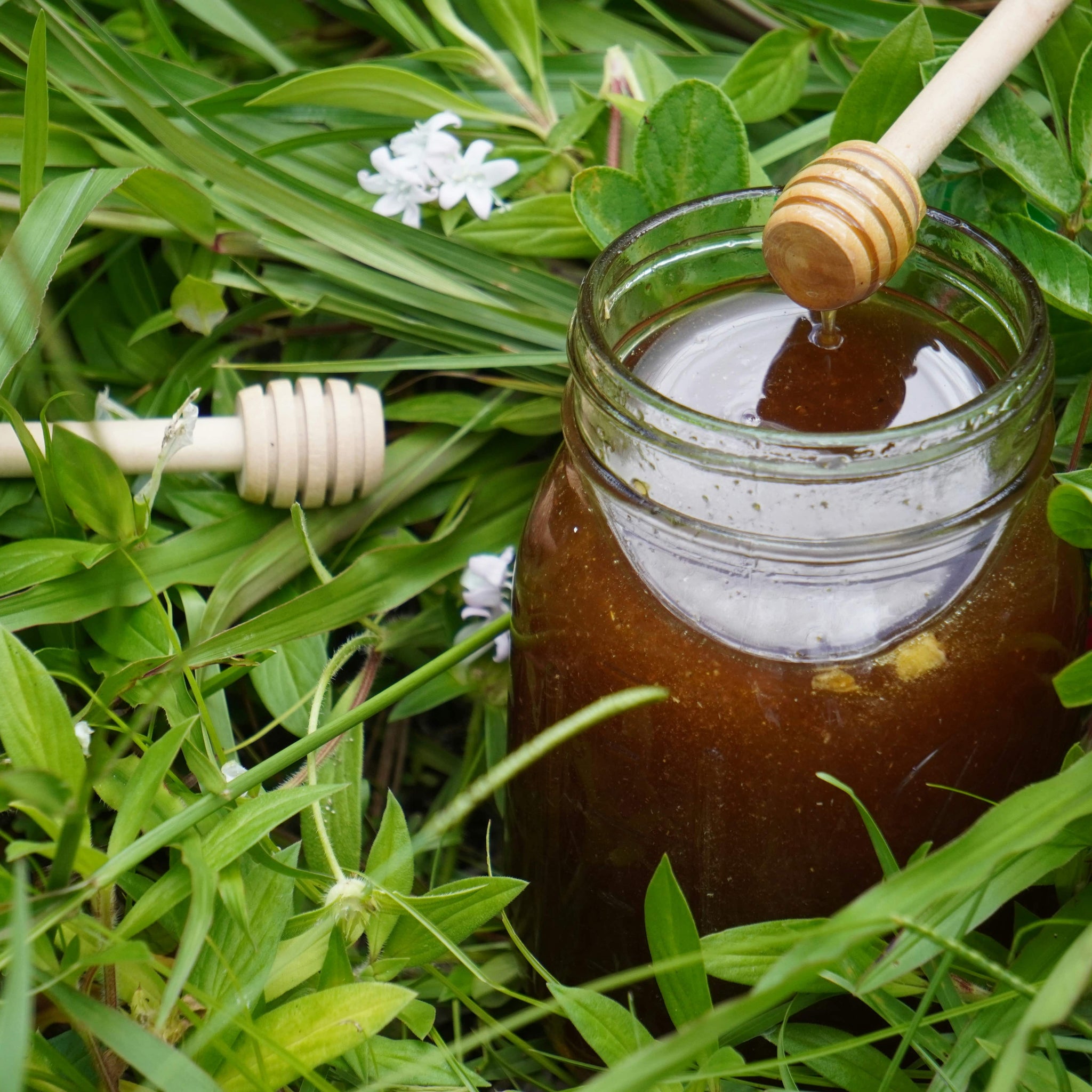 The Sweet Benefits of Raw Honey: Why You Should Make the Switch